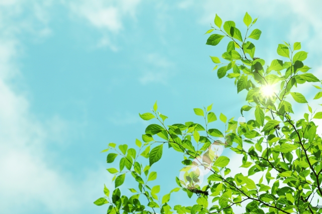 花粉シーズン終了！ ゴールデンウィークにやりたい「大掃除＆衣替えで暮らしリセット」