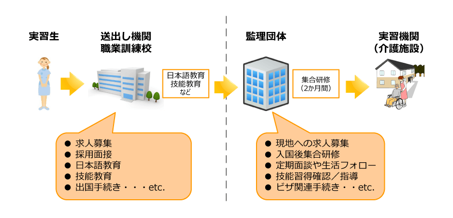 入職までの流れ【マッチング後⇒技能実習の場合】