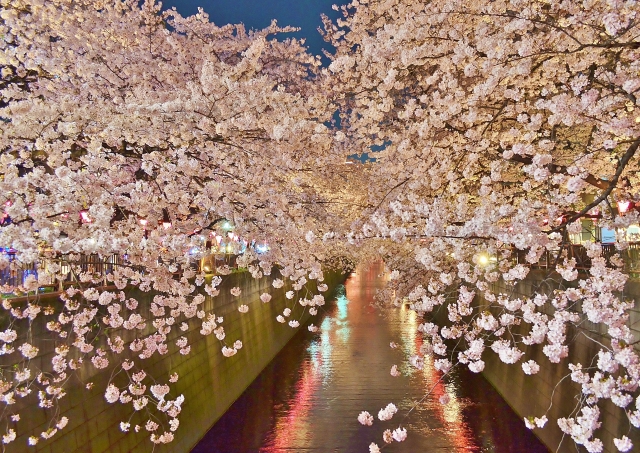 冬物はいつまで？衣類＋暖房器具のしまい方ガイド