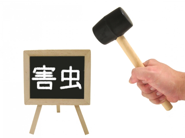 秋こそ重要！ゴキブリの大量発生を防ぐための徹底対策