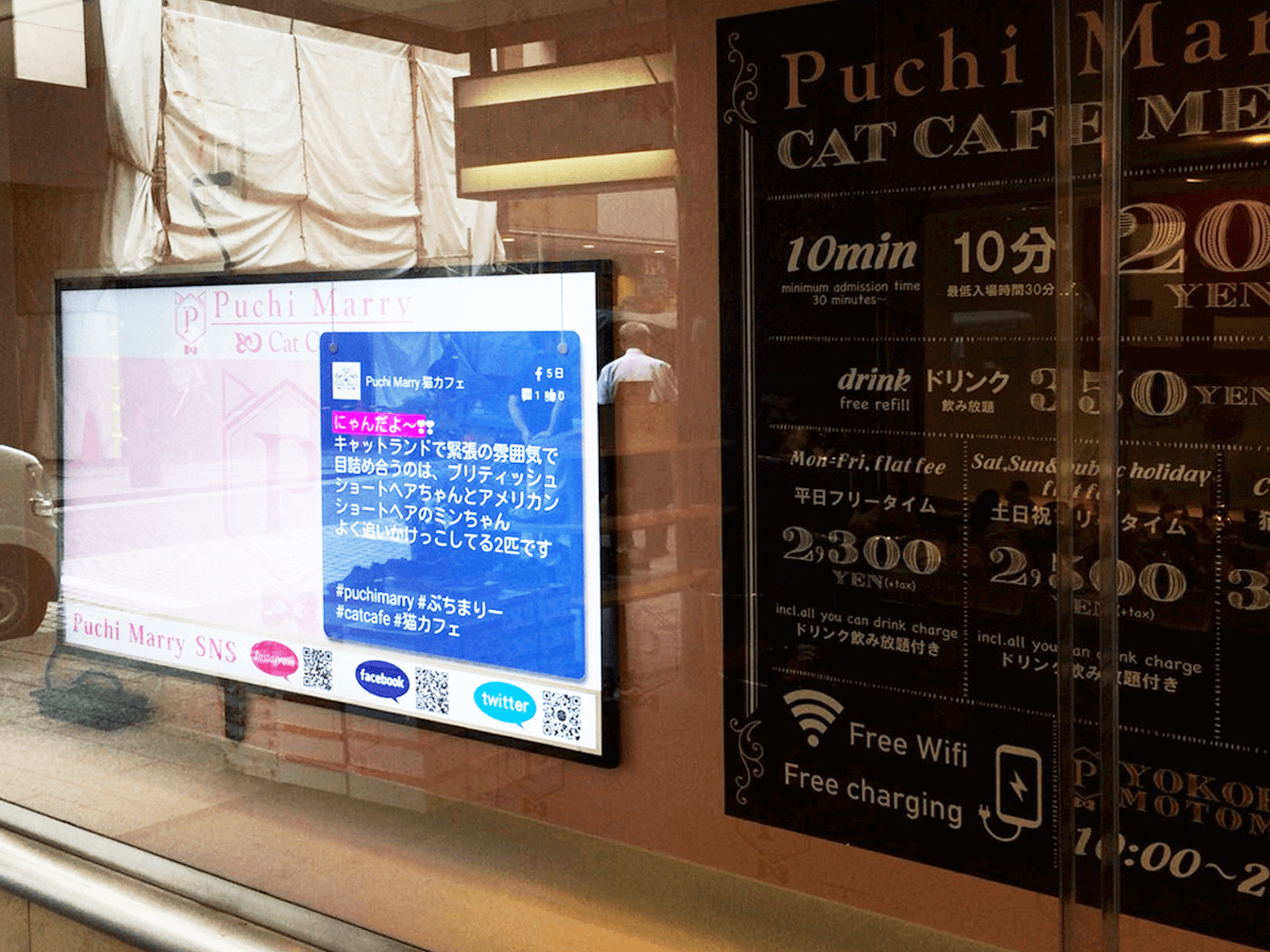 SNSサイネージ　猫カフェでの使用例①